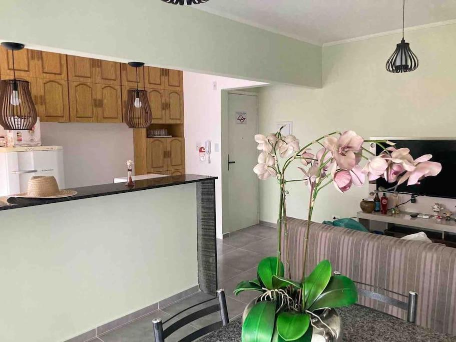 Appartamento Apartamento Centro - Jardim Caiahu - Mongaguá Esterno foto